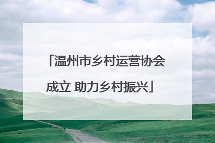 温州市乡村运营协会成立 助力乡村振兴